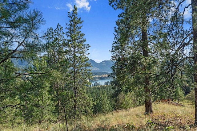 3705 Hope Way, Kettle Falls, WA 99141 - mountain view featuring a large body of water and a heavily wooded area