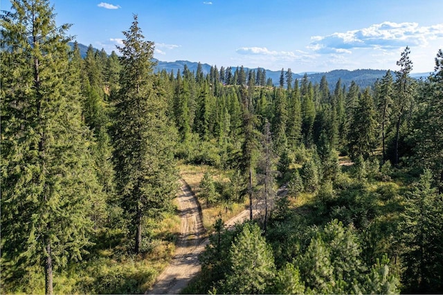 3705 Hope Way, Kettle Falls, WA 99141 - mountain view featuring a forest
