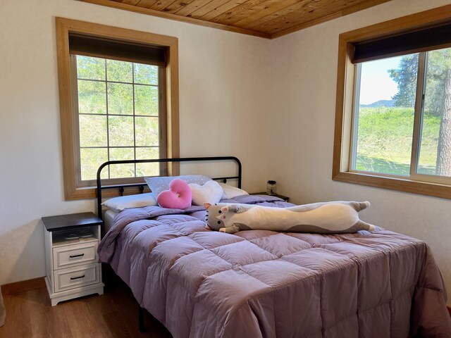 3705 Hope Way, Kettle Falls, WA 99141 - bedroom with wooden ceiling, multiple windows, wood finished floors, crown molding, and baseboards