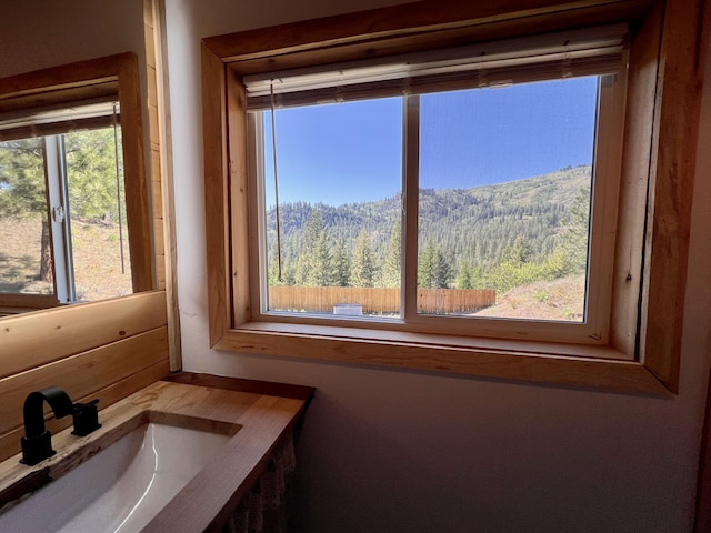 3705 Hope Way, Kettle Falls, WA 99141 - bathroom featuring a sink and a wooded view
