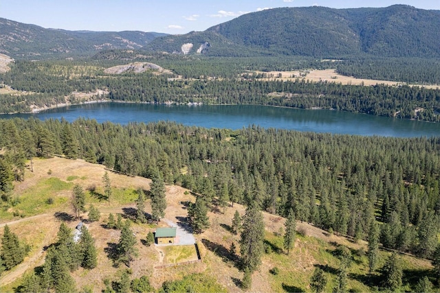 3705 Hope Way, Kettle Falls, WA 99141 - water view with a forest and a mountain backdrop