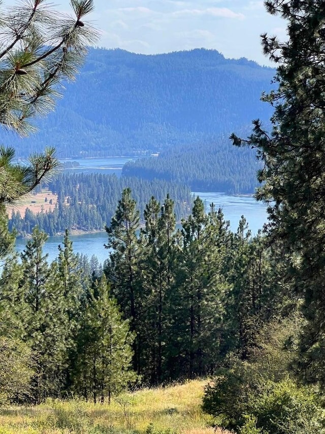 3705 Hope Way, Kettle Falls, WA 99141 - view of mountain backdrop with a heavily wooded area and a large body of water