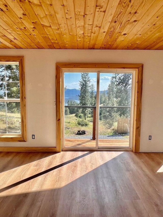 3705 Hope Way, Kettle Falls, WA 99141 - entryway with wood finished floors and wooden ceiling