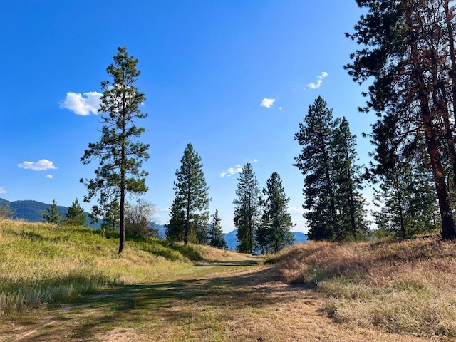 3705 Hope Way, Kettle Falls, WA 99141 - view of undeveloped land with a mountainous background