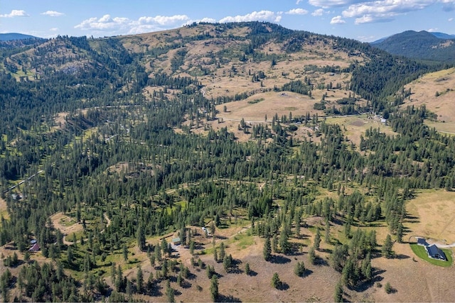 3705 Hope Way, Kettle Falls, WA 99141 - view of mountain backdrop with a heavily wooded area