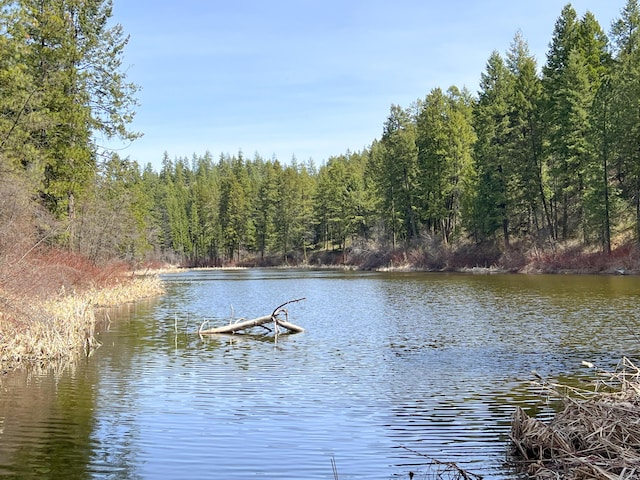 NKA Apex Rd, Inchelium, WA 99138 - photo 3