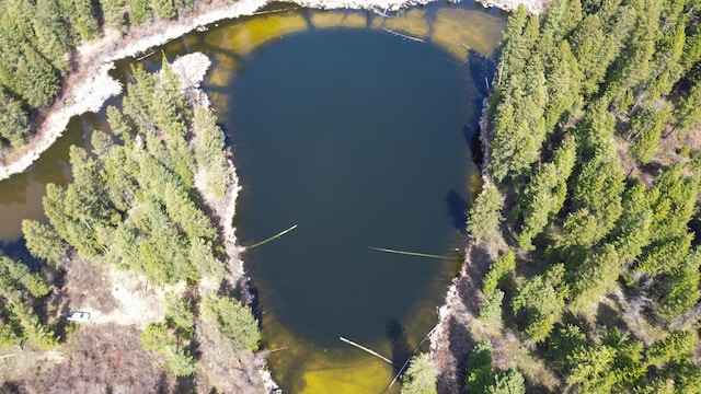 NKA Apex Rd, Inchelium, WA 99138 - photo 10