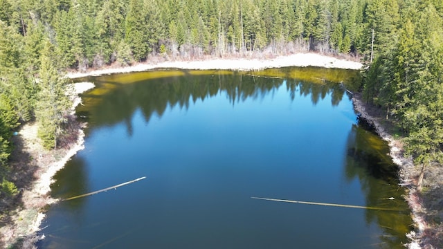 NKA Apex Rd, Inchelium, WA 99138 - photo 7