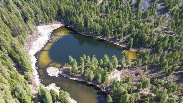 NKA Apex Rd, Inchelium, WA 99138 - photo 4