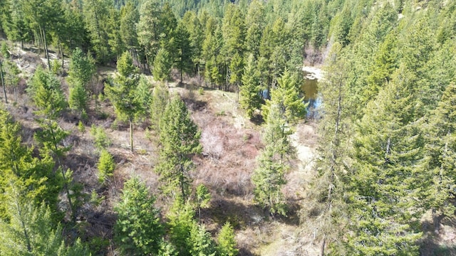 NKA Apex Rd, Inchelium, WA 99138 - photo 13