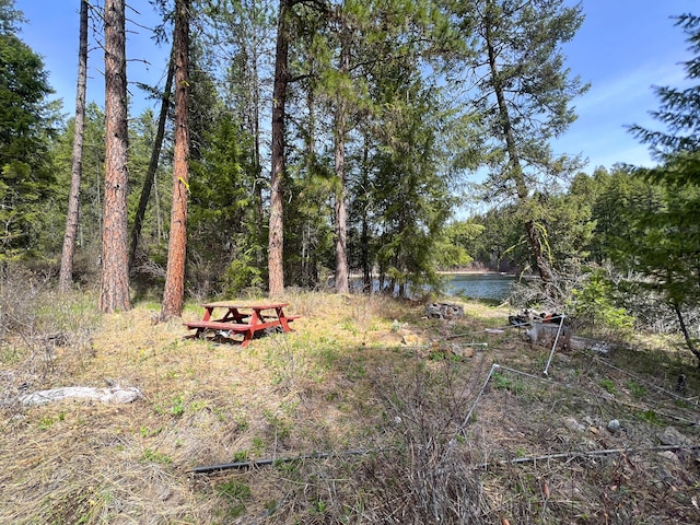 NKA Apex Rd, Inchelium, WA 99138 - photo 21