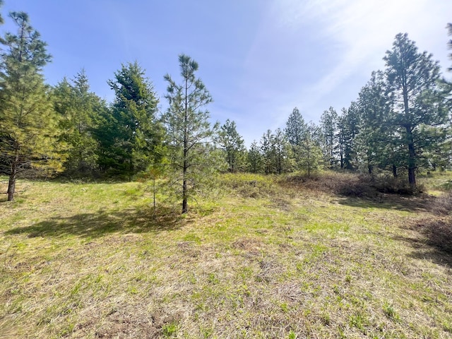 NKA Apex Rd, Inchelium, WA 99138 - photo 19
