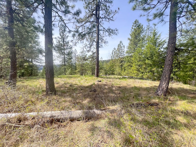 NKA Apex Rd, Inchelium, WA 99138 - photo 18