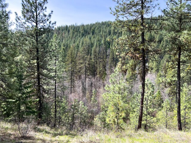 NKA Apex Rd, Inchelium, WA 99138 - photo 17