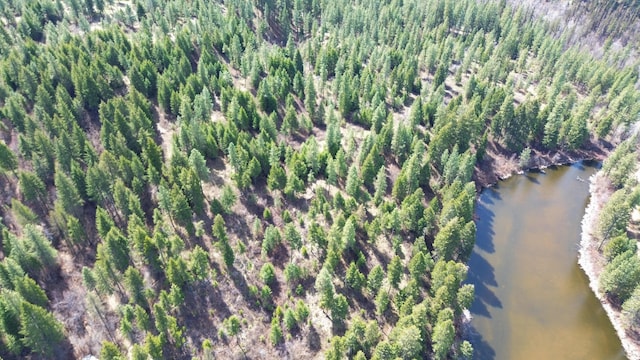 NKA Apex Rd, Inchelium, WA 99138 - photo 15