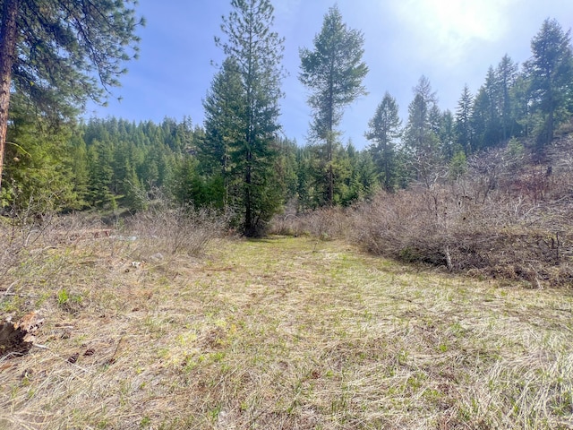 NKA Apex Rd, Inchelium, WA 99138 - photo 20