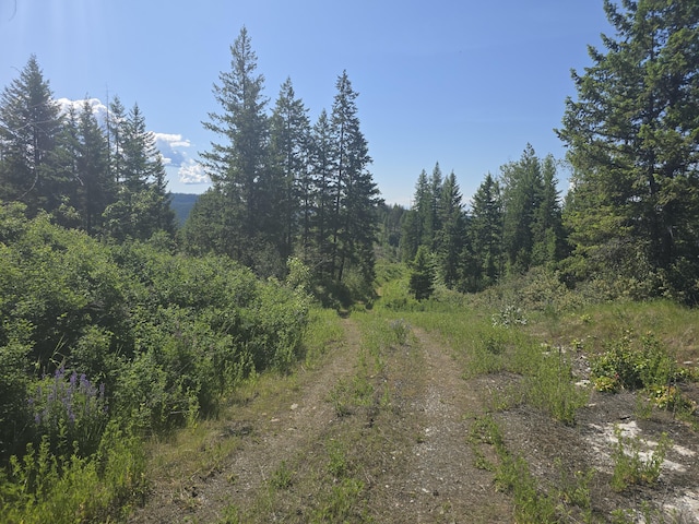 37XX Hill Loop Rd, Kettle Falls, WA 99141 - photo 12