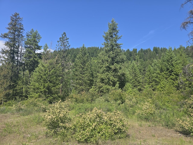 37XX Hill Loop Rd, Kettle Falls, WA 99141 - photo 11