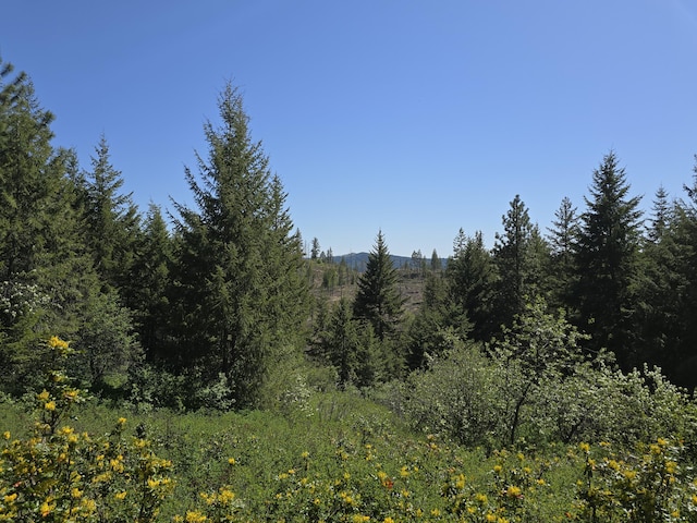 37XX Hill Loop Rd, Kettle Falls, WA 99141 - photo 3