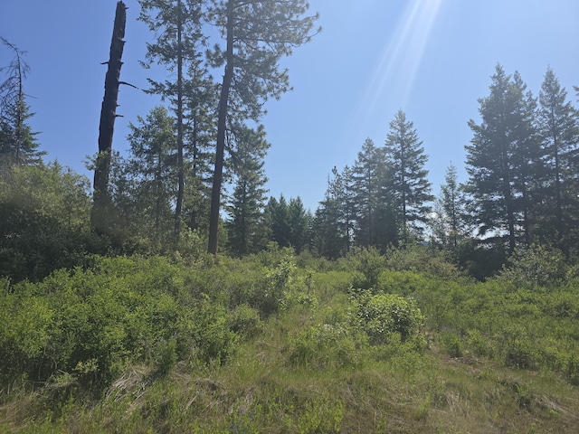 37XX Hill Loop Rd, Kettle Falls, WA 99141 - photo 6