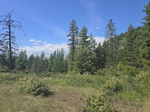37XX Hill Loop Rd, Kettle Falls, WA 99141 - photo 9