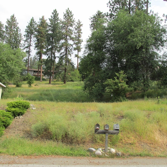 8XX E 9th Ave, Colville WA, 99114 land for sale