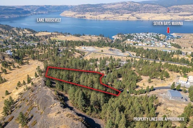 41900 Rocky Top Dr N, Davenport WA, 99122 land for sale