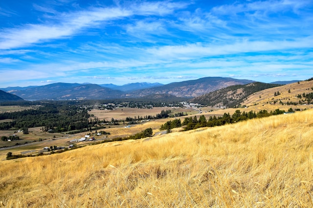 property view of mountains with a rural view