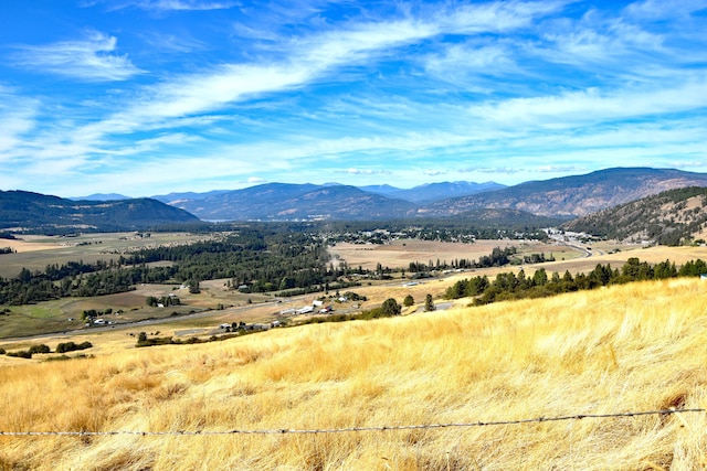 property view of mountains with a rural view