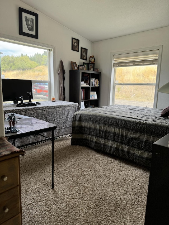 bedroom featuring lofted ceiling