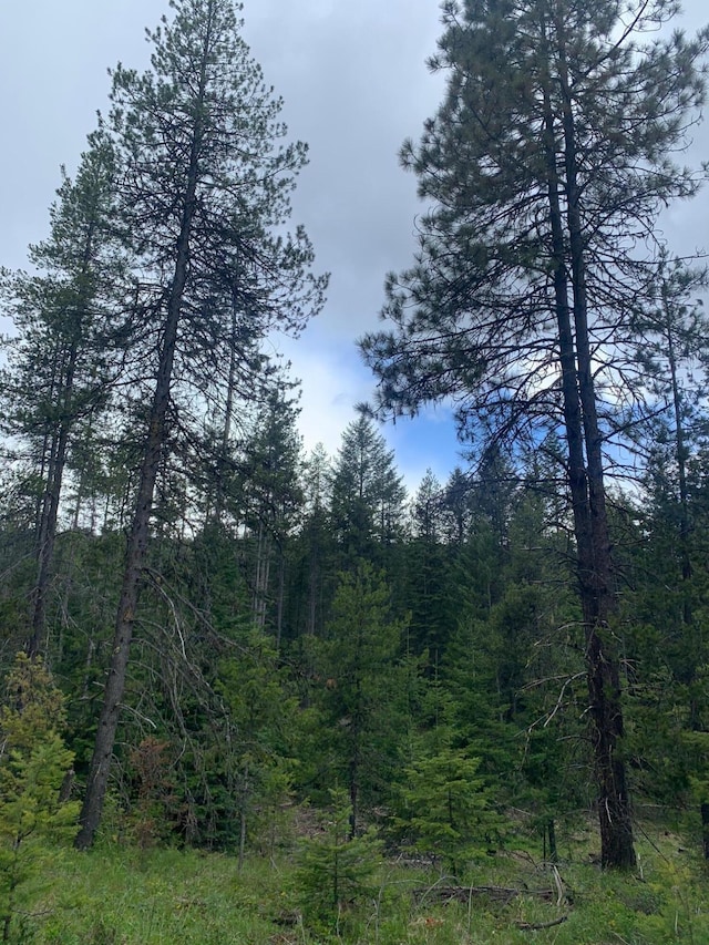 21XX Clark Lake Rd, Addy, WA 99101