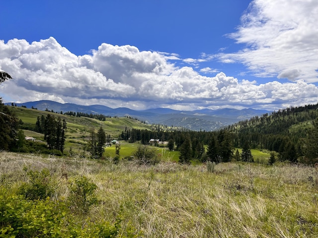 293 Big Goosmus Crk Rd, Curlew, WA 99118 - photo 1