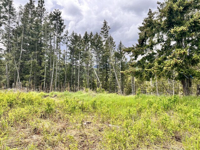 293 Big Goosmus Crk Rd, Curlew, WA 99118 - photo 10