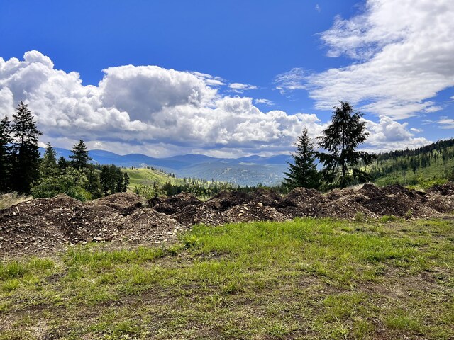 293 Big Goosmus Crk Rd, Curlew, WA 99118 - photo 3