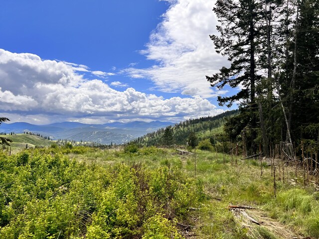 293 Big Goosmus Crk Rd, Curlew, WA 99118 - photo 4