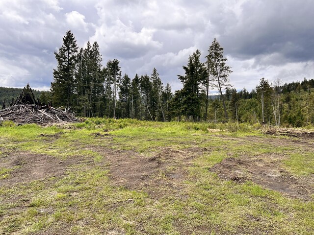 293 Big Goosmus Crk Rd, Curlew, WA 99118 - photo 5