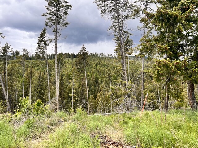 293 Big Goosmus Crk Rd, Curlew, WA 99118 - photo 11