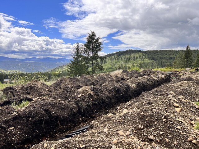 293 Big Goosmus Crk Rd, Curlew, WA 99118 - photo 7