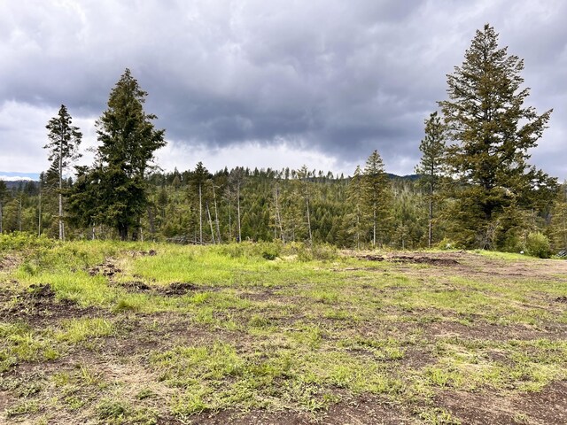 293 Big Goosmus Crk Rd, Curlew, WA 99118 - photo 6