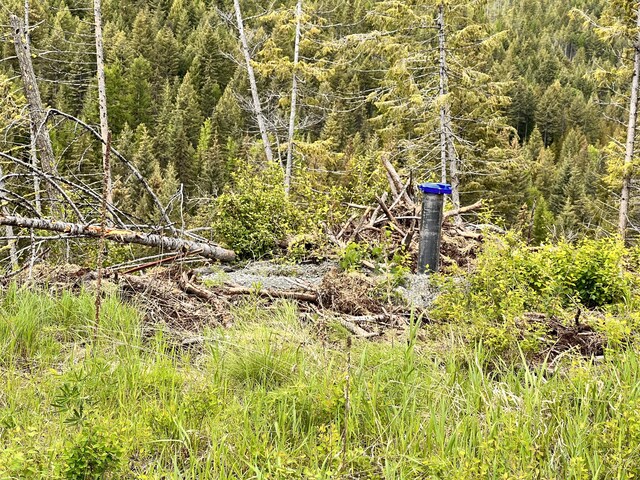 293 Big Goosmus Crk Rd, Curlew, WA 99118 - photo 9