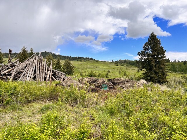 293 Big Goosmus Crk Rd, Curlew, WA 99118 - photo 12