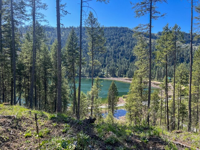 16XX Williams Lake Rd, Colville, WA 99114 - photo 17