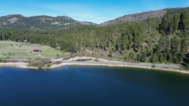 16XX Williams Lake Rd, Colville, WA 99114 - photo 6