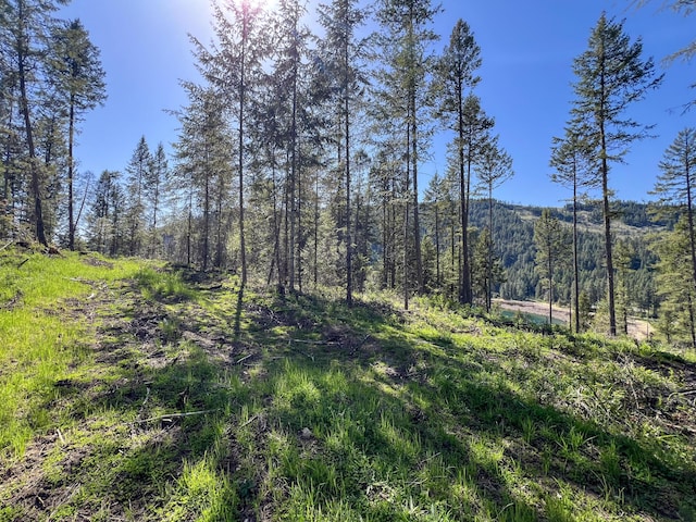 16XX Williams Lake Rd, Colville, WA 99114 - photo 16