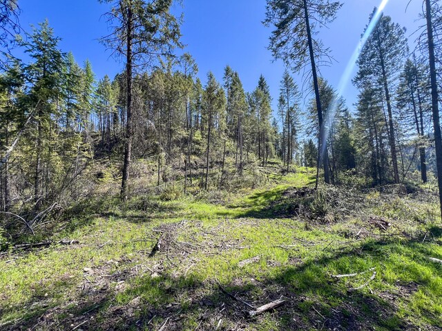 16XX Williams Lake Rd, Colville, WA 99114 - photo 5