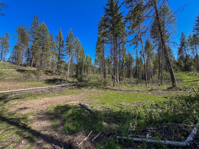 16XX Williams Lake Rd, Colville, WA 99114 - photo 13