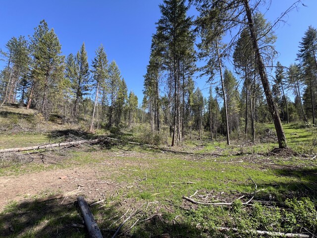 16XX Williams Lake Rd, Colville, WA 99114 - photo 22