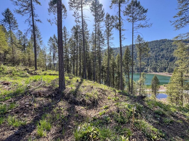 16XX Williams Lake Rd, Colville, WA 99114 - photo 18