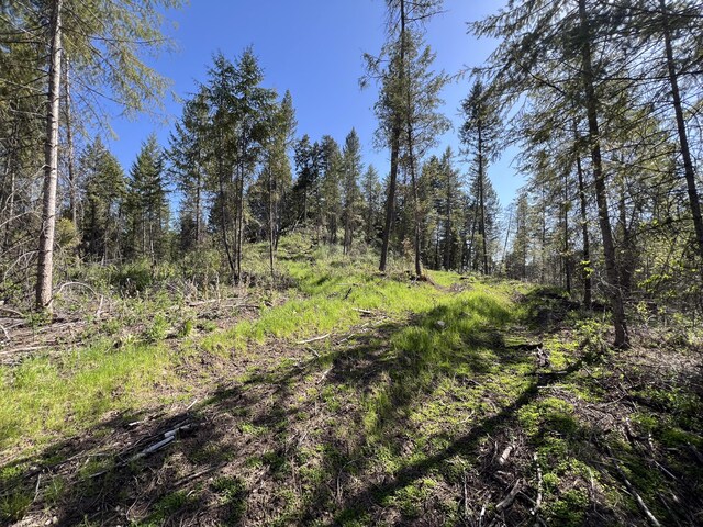 16XX Williams Lake Rd, Colville, WA 99114 - photo 19