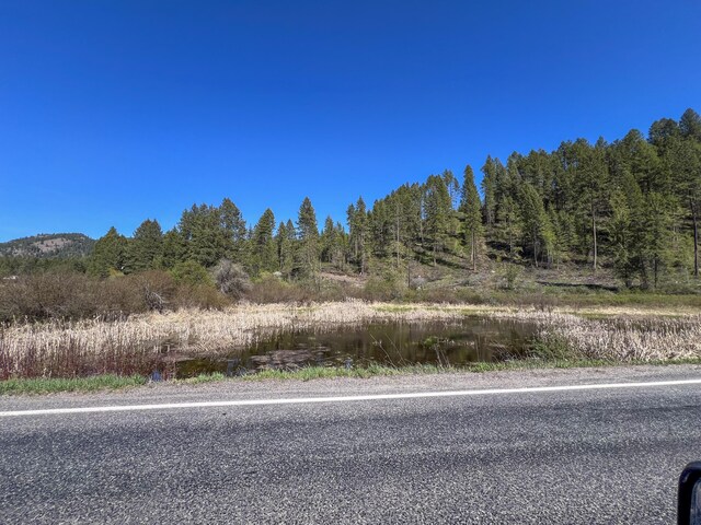 16XX Williams Lake Rd, Colville, WA 99114 - photo 23